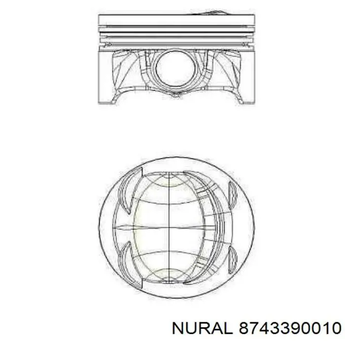 8743390010 Nural pistón completo para 1 cilindro, std