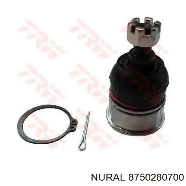 Pistón con bulón sin aros, sobremedida (+0,50 mm) Nural 8750280700 precio, desde 64,80 EUR