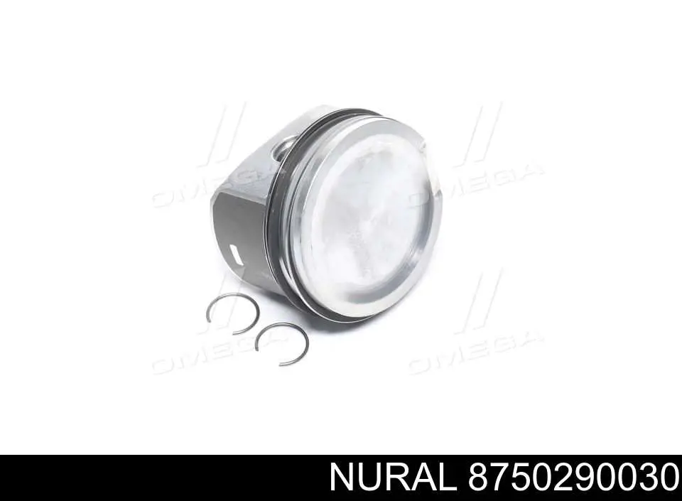 8750290030 Nural Pistón