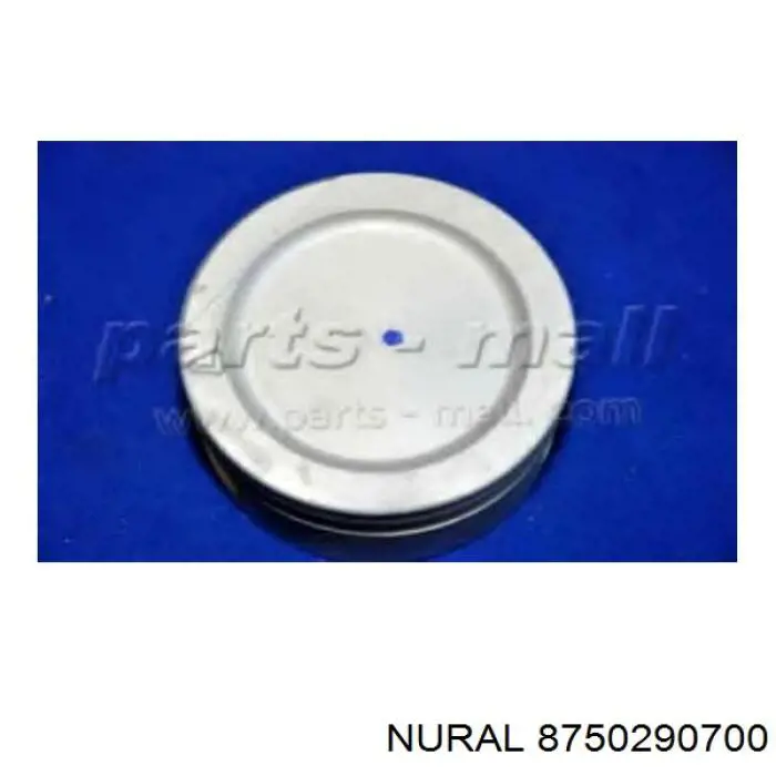 Comprar 8750290700 Nural Pistón completo para 1 cilindro, segunda reparación (+0,50 mm)