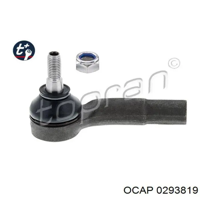 0293819 Ocap