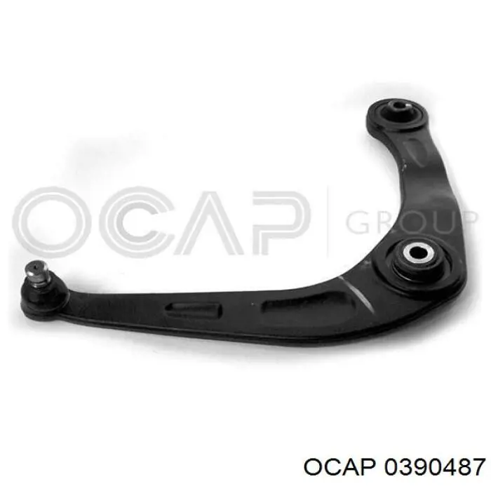0390487 Ocap