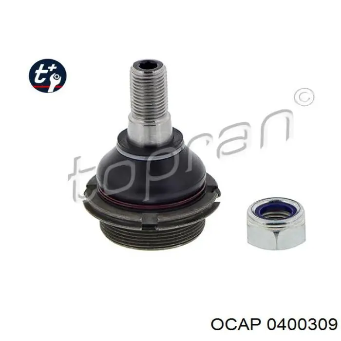 0400309 Ocap