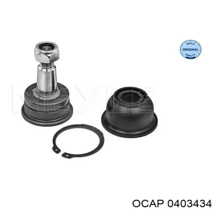 0403434 Ocap