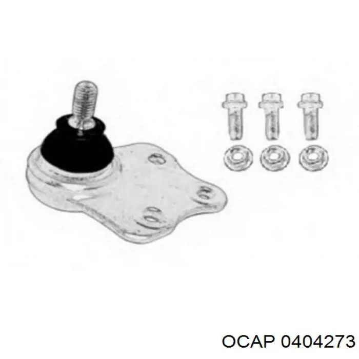 0404273 Ocap