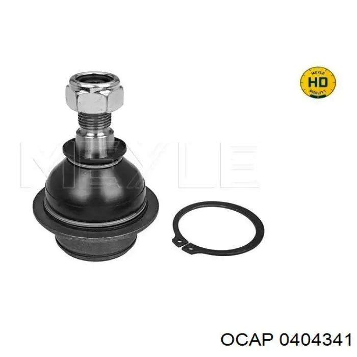 0404341 Ocap