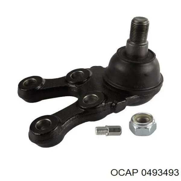 0493493 Ocap