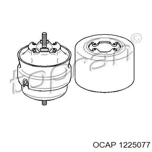 1225077 Ocap