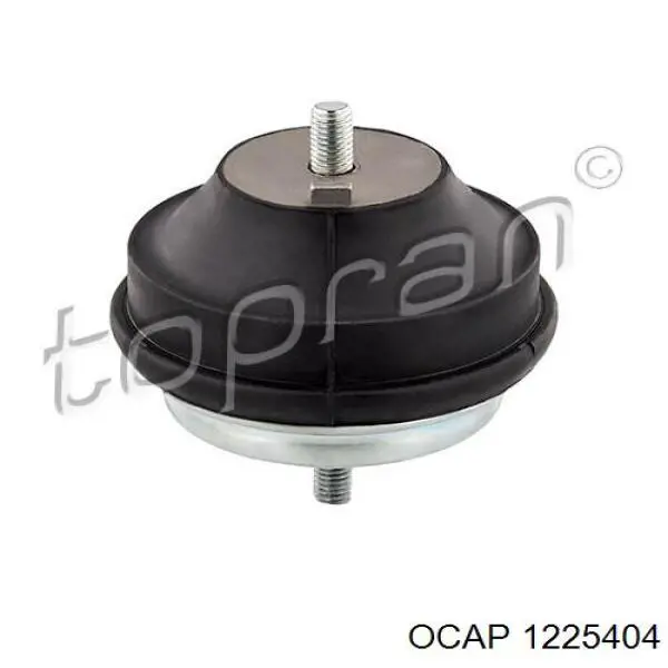 1225404 Ocap