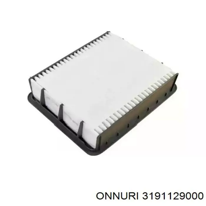 3191129000 Onnuri filtro combustible