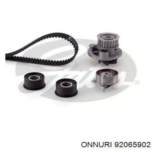 Comprar 92065902 Onnuri Correa distribución