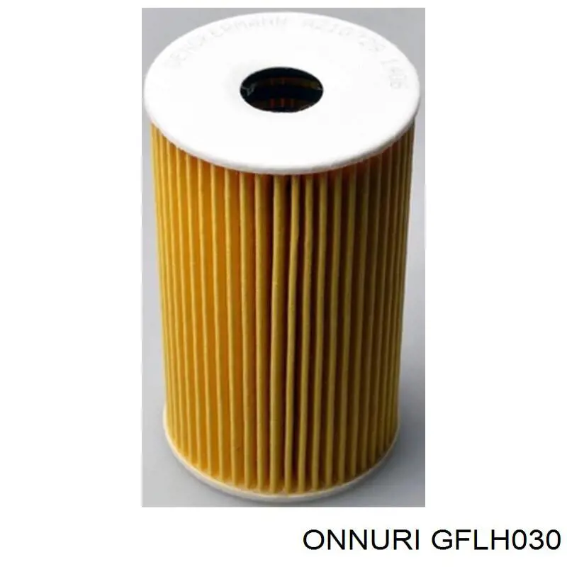 GFLH030 Onnuri Filtro aceite