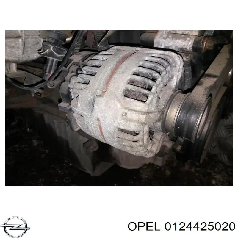 0124425020 Opel alternador