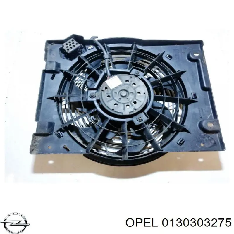 9132916 Opel Electroventilador del motor