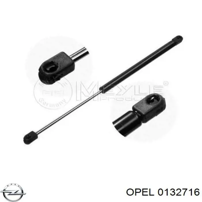 0132716 Opel Amortiguador de porton