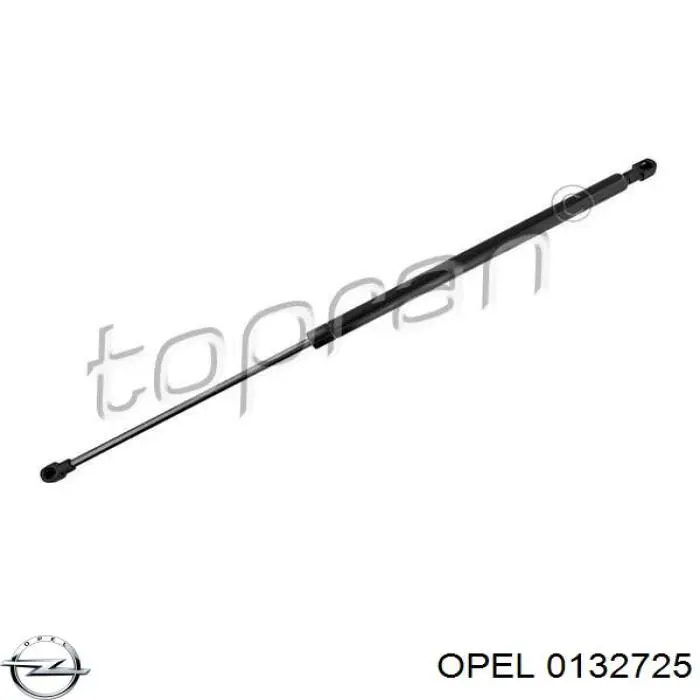 0132725 Opel Amortiguador de porton