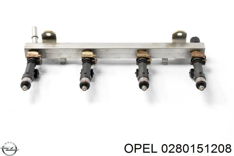 0280151208 General Motors Rampa de combustible