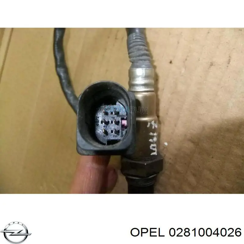 Sensor de oxígeno previo al catalizador Opel 0281004026 precio, desde 66,70 EUR