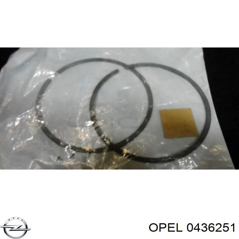 0436251 Opel amortiguador trasero