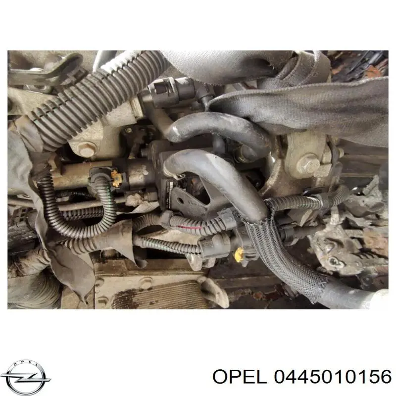 Bomba de alta presión de combustible Fiat/Alfa/Lancia 55204599 precio, desde 76,96 EUR