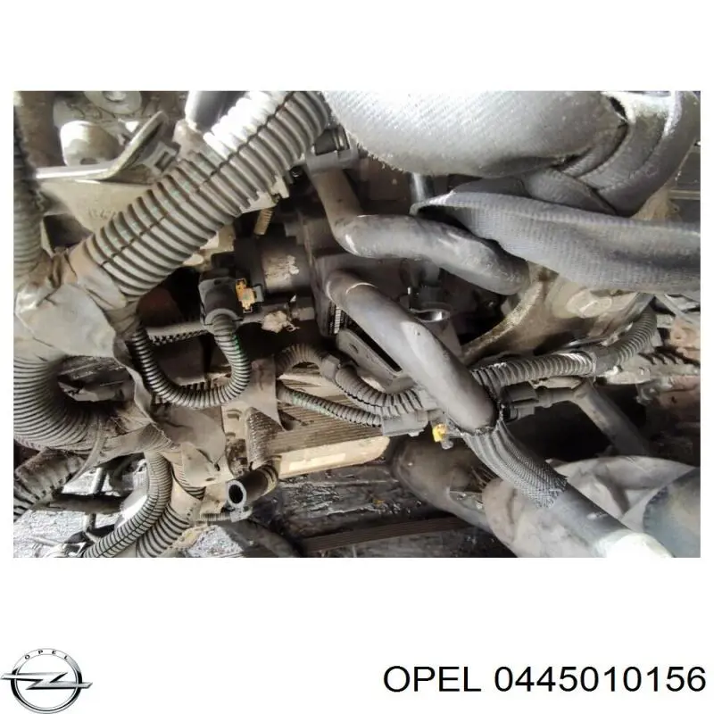 0819529 Opel bomba inyectora