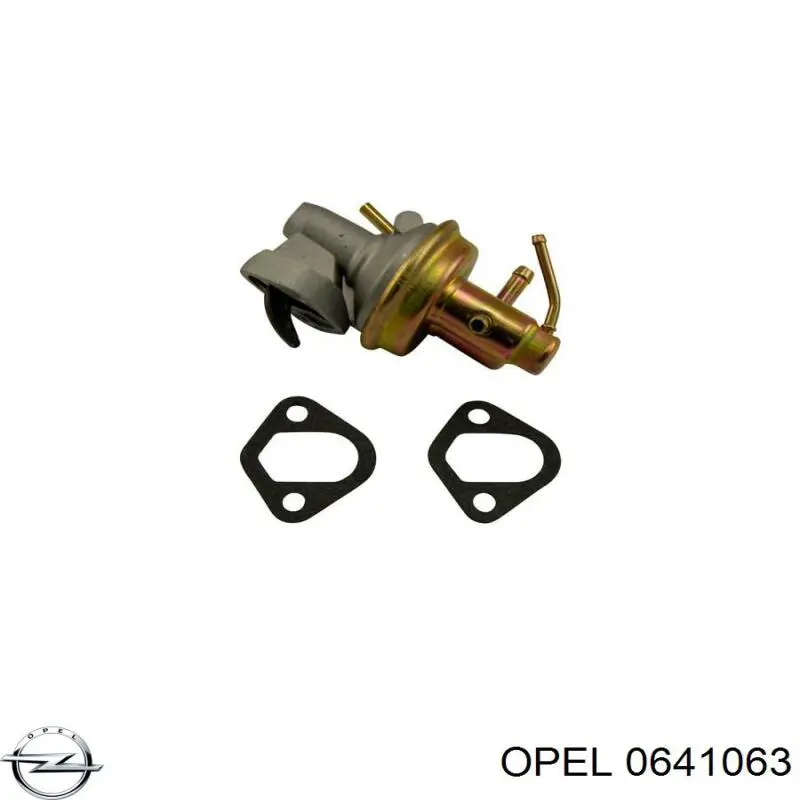 0641063 Opel válvula de admisión