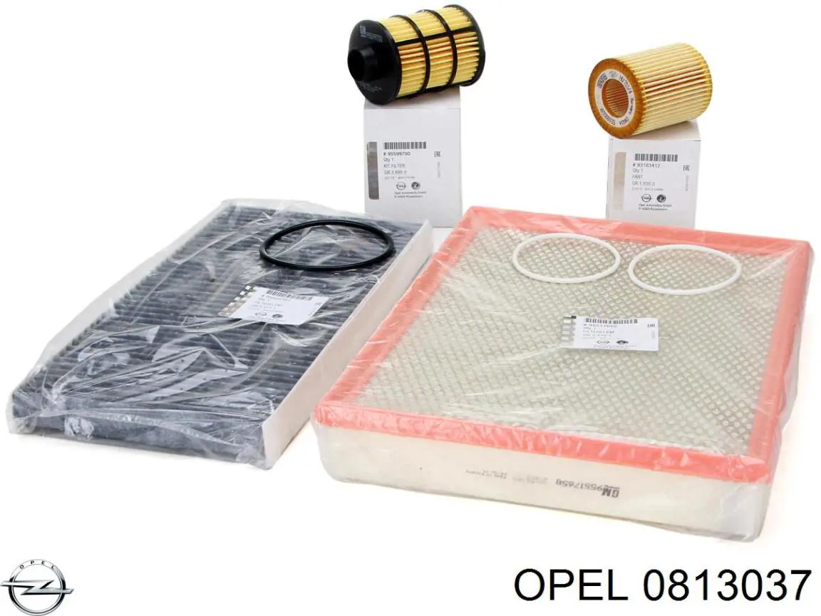 0813037 Opel caja, filtro de combustible