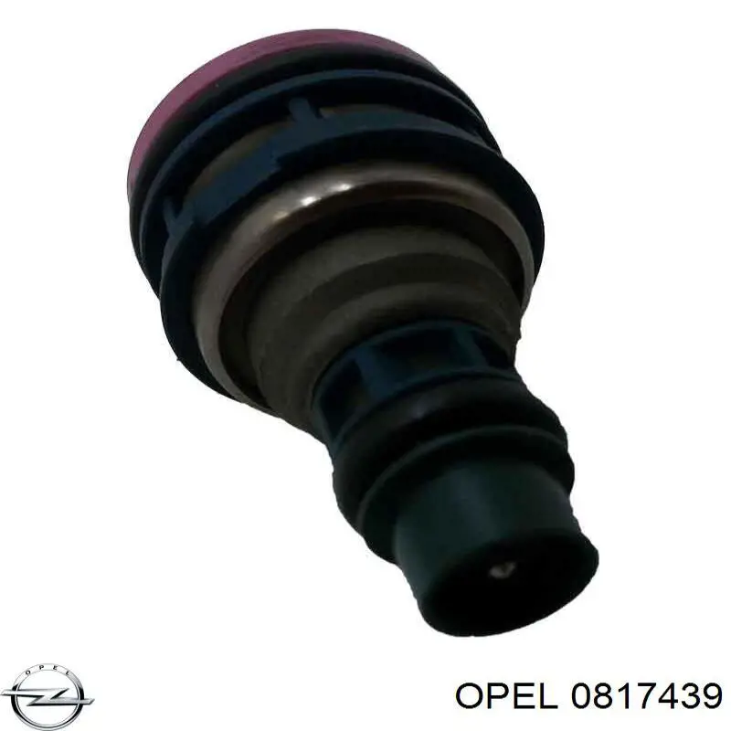 Comprar 0817439 Opel Inyector