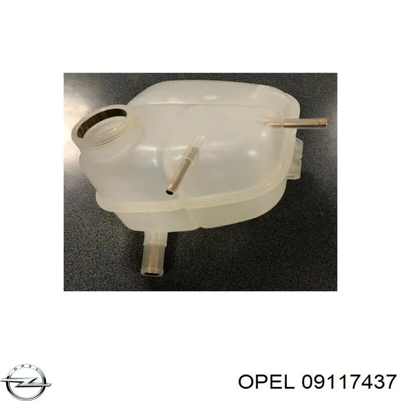 Botella expansion Opel 09117437 precio, desde 15,55 EUR