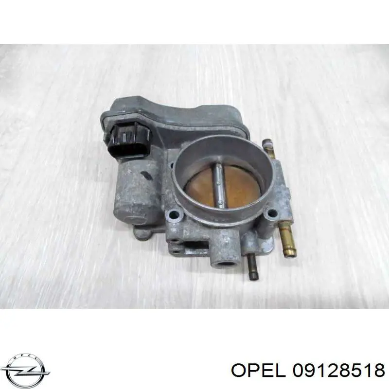Cuerpo de mariposa 09196357 General Motors