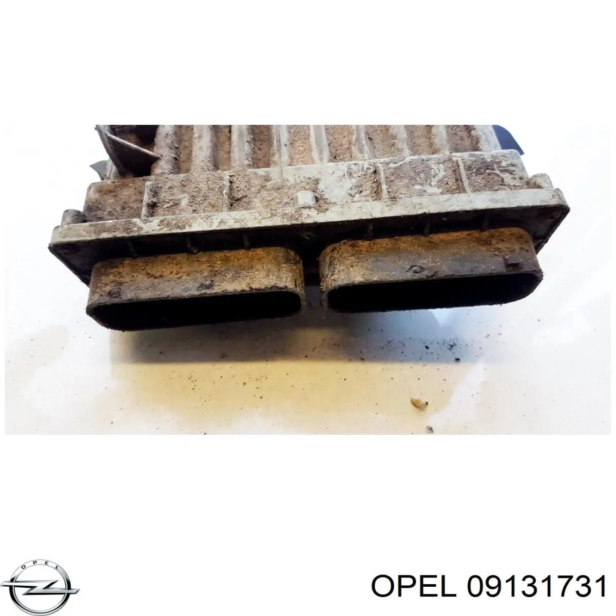 09131731 Opel 