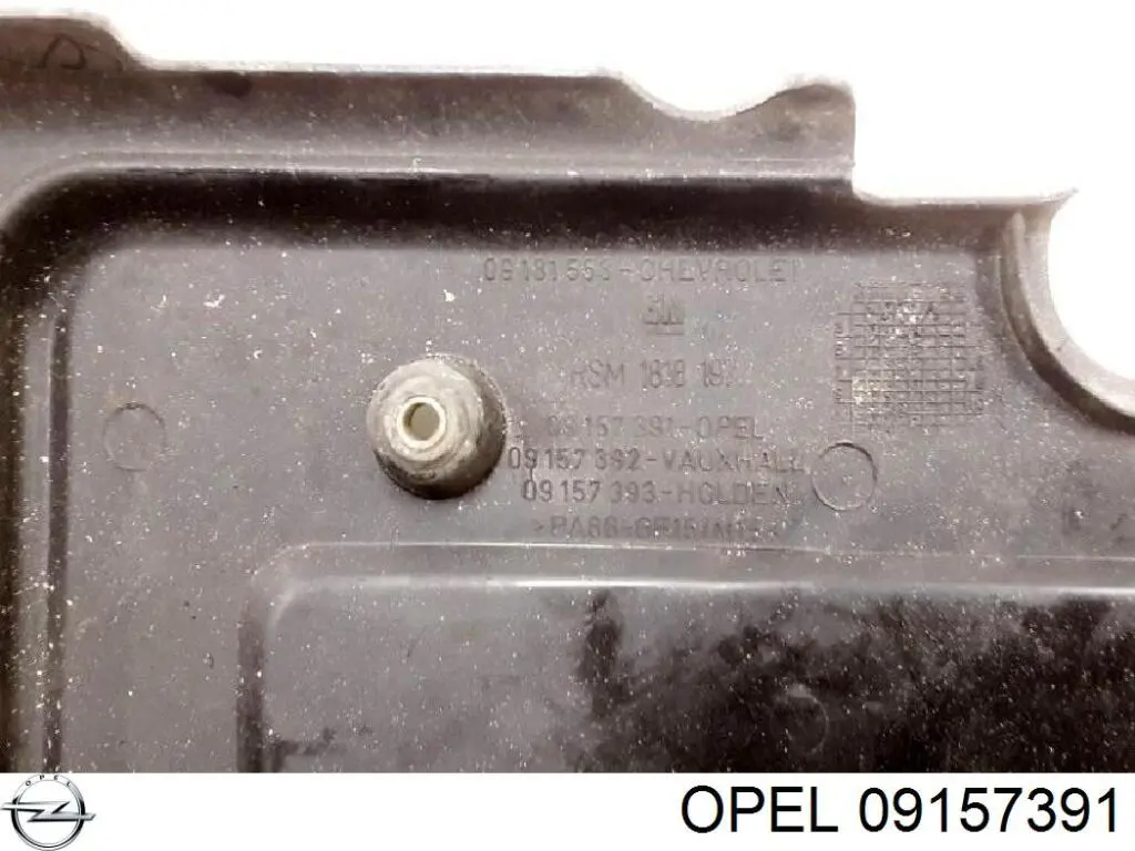  Opel 09157391 precio, desde 45,01 EUR