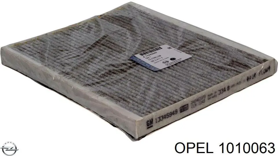 Control de presión de neumáticos Opel 1010063