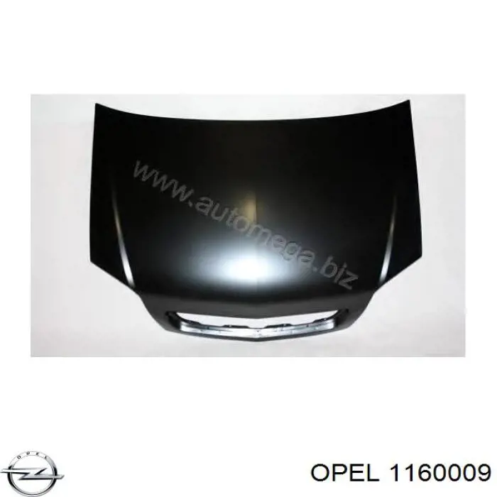 1160009 Opel capó