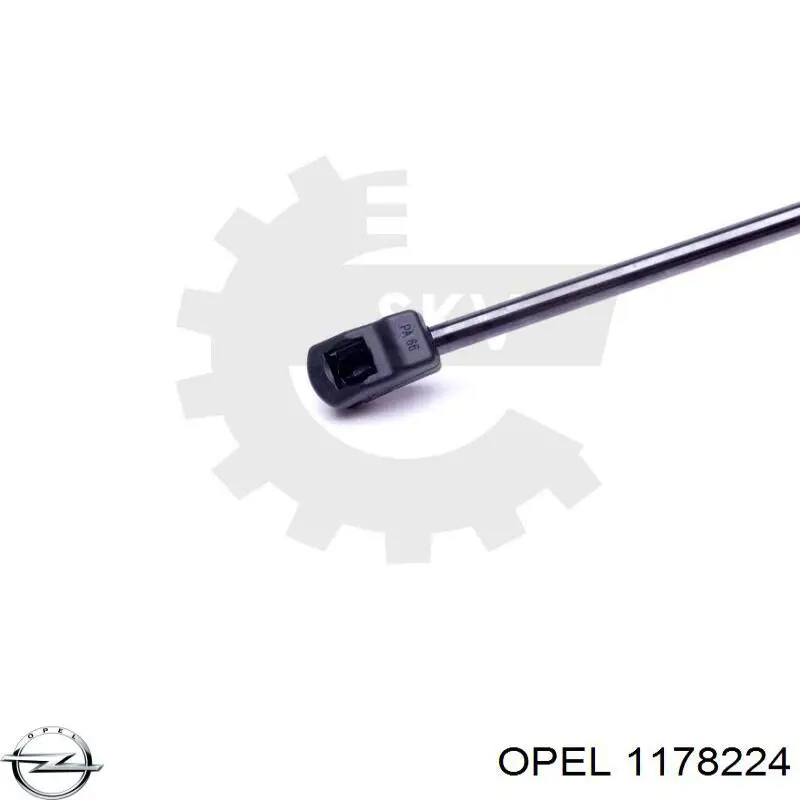 Muelle neumático, tapa delantera Opel 1178224 precio, desde 17,60 EUR