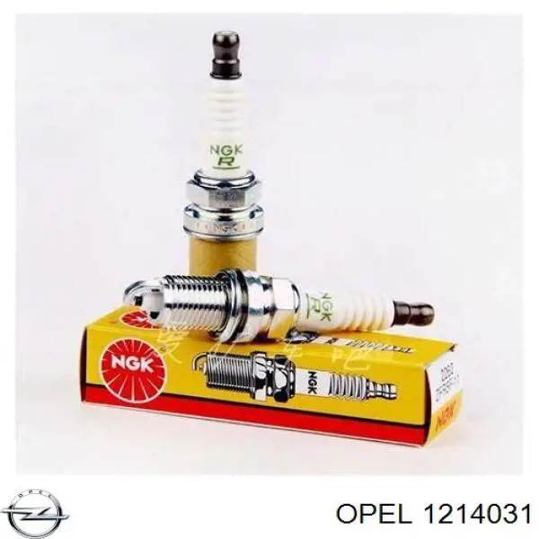1214031 Opel bujía