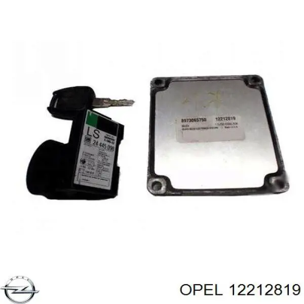 Unidad de control del motor  General Motors 12212819 precio, desde 85,67 EUR