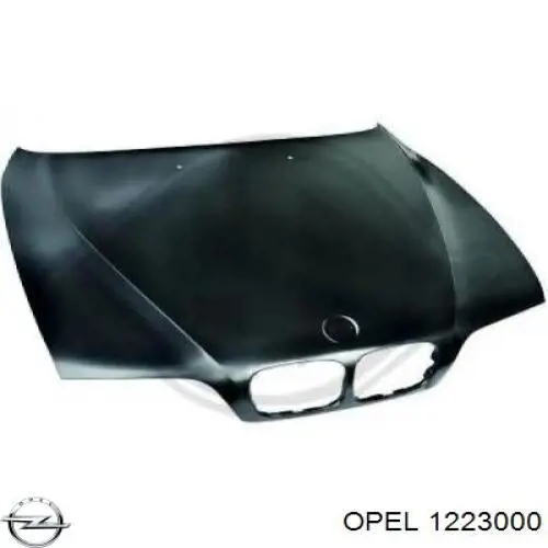 1223000 Opel piloto posterior derecho