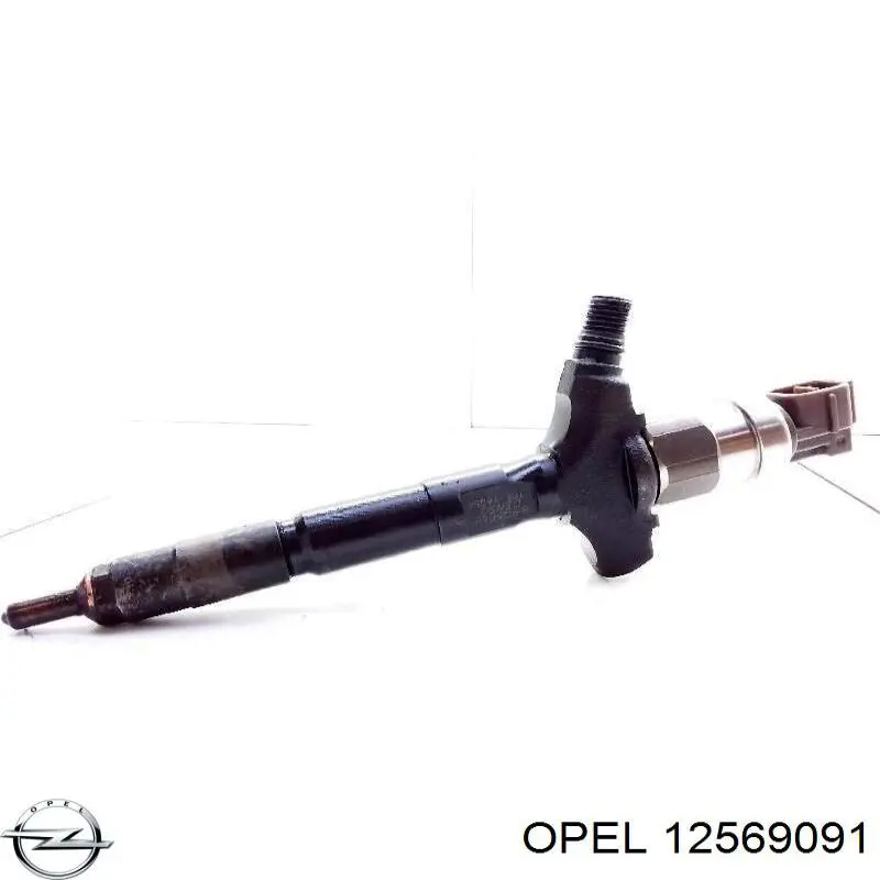 12569091 Opel inyector de combustible