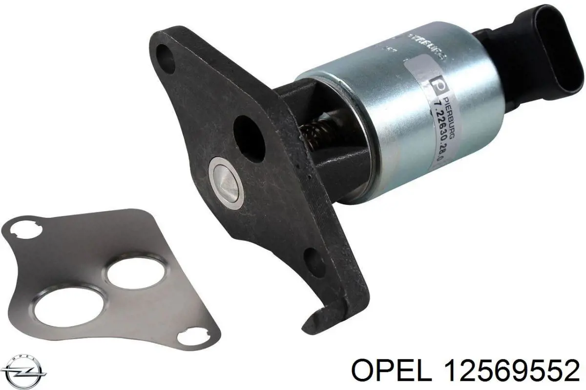 Comprar 12569552 Opel Válvula EGR