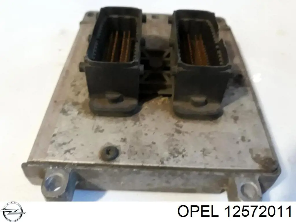 Unidad de control del motor  General Motors 12571664AX precio, desde 104,54 EUR