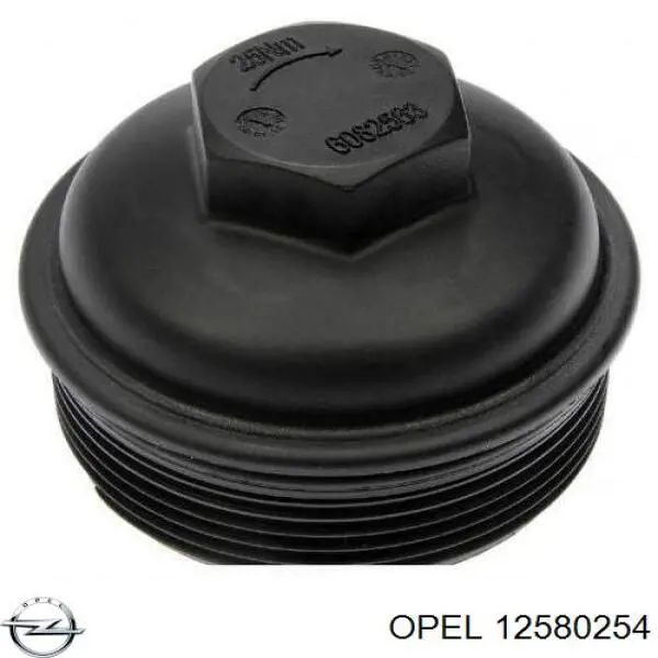12580254 Opel filtro de aceite