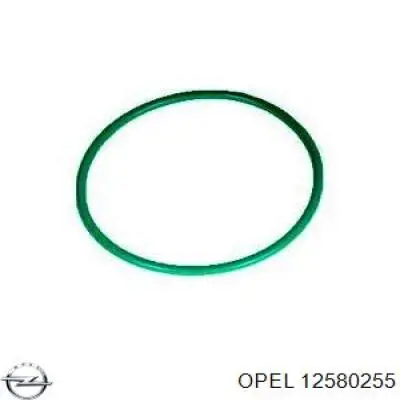 12580255 Opel anillo interno de la tapa del filtro de aceite