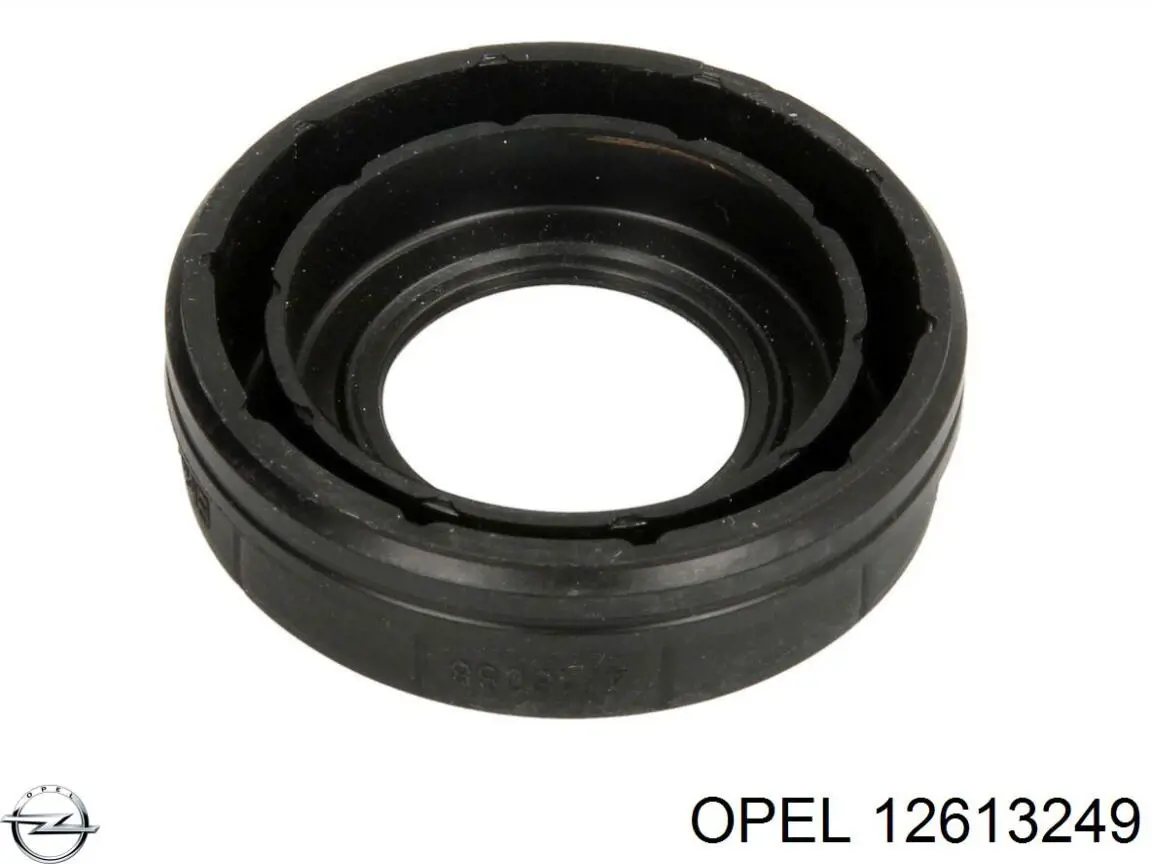 12613249 Opel