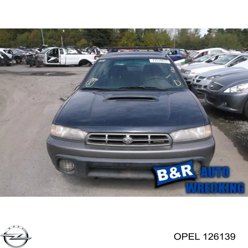 Comprar 126139 Opel Puerta del maletero, trasera