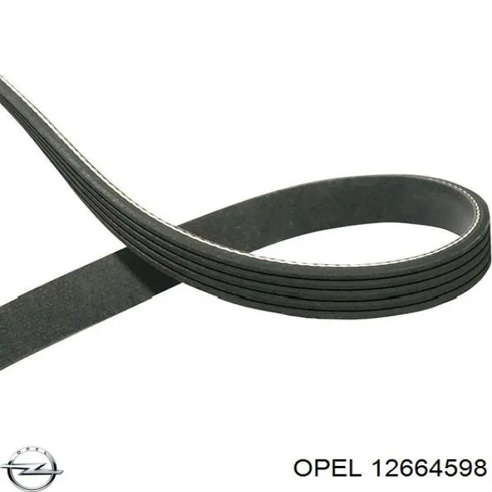 12664598 Opel correa trapezoidal