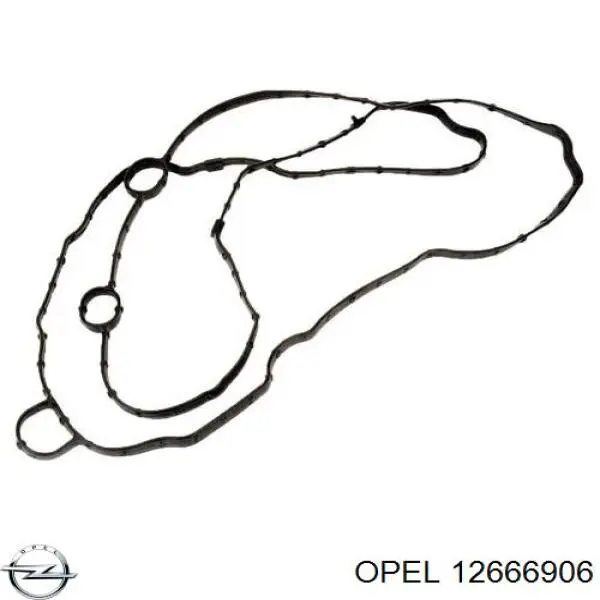 12666906 Opel