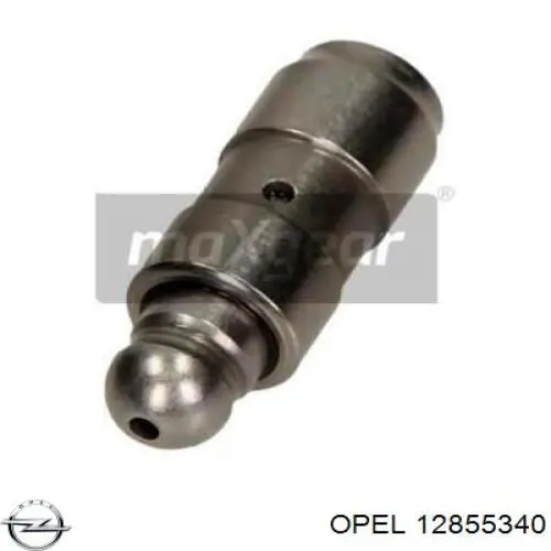 Comprar 55569933 General Motors Taqués hidráulicos