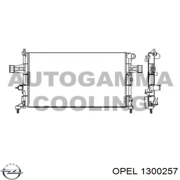 Água radiador Opel 1300257 precio, desde 67,12 EUR