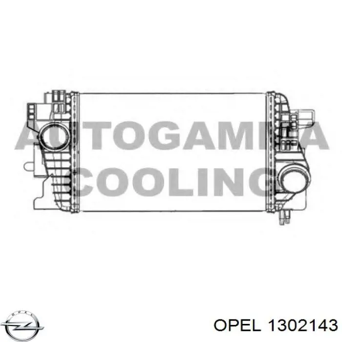 Enfriador de aire de admisión Opel 13283253